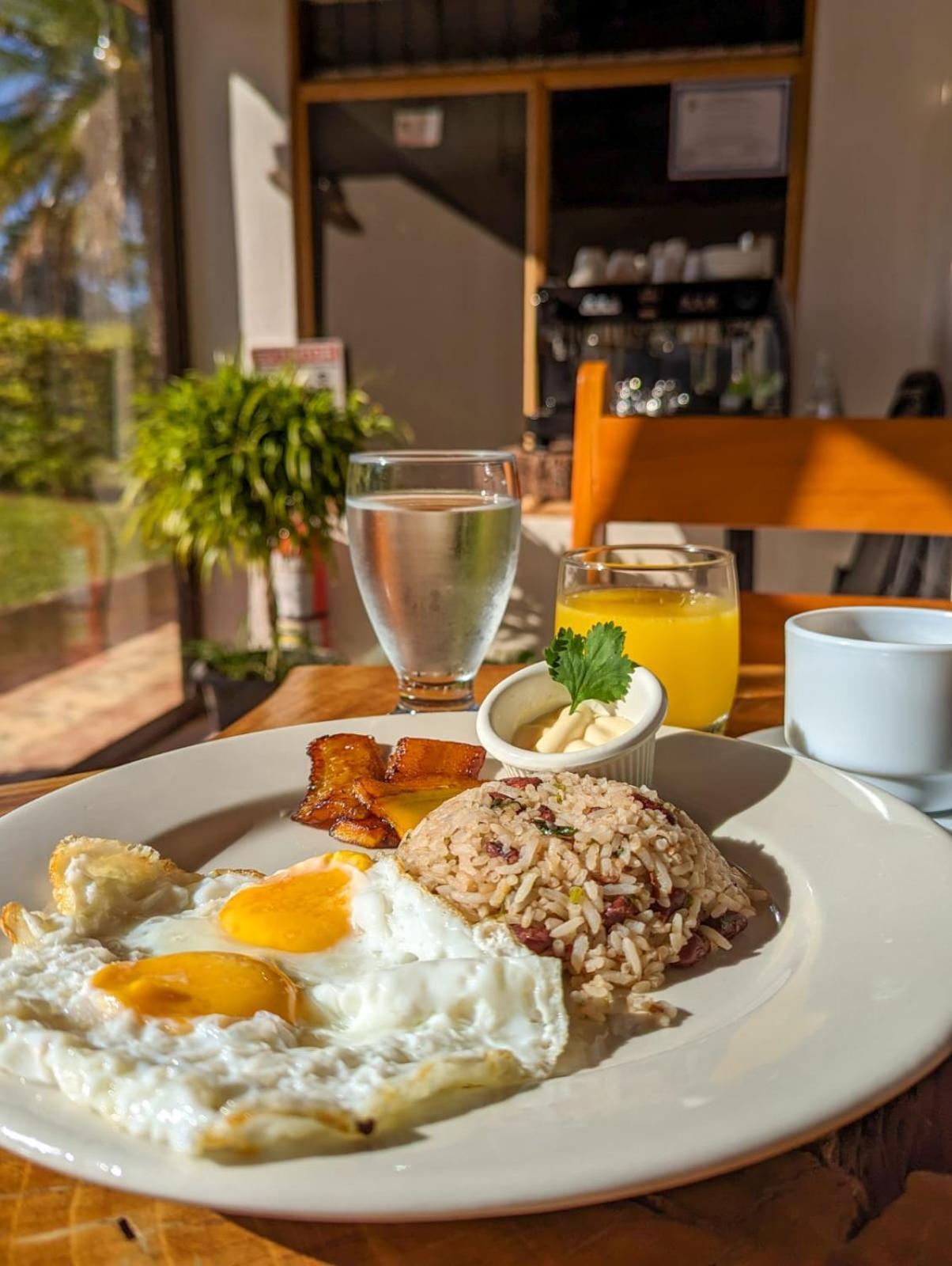 El Nido Lodge Monteverde Екстериор снимка