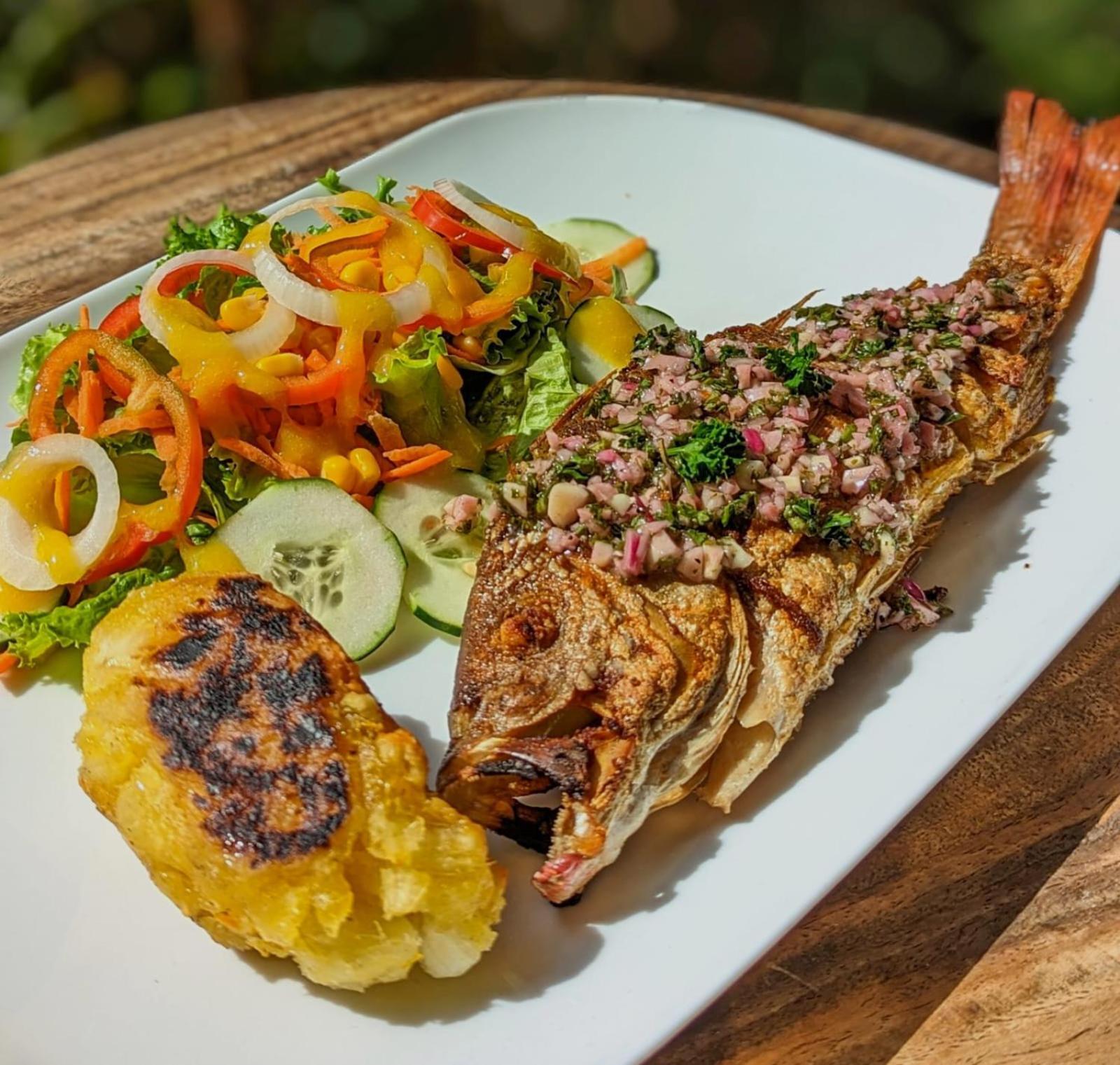 El Nido Lodge Monteverde Екстериор снимка